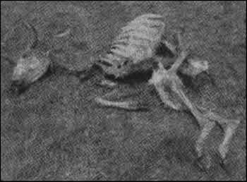 Апокалипсис 2012 - i_036.jpg