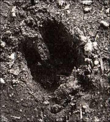 Мистика: загадочное и необъяснимое - _17.jpg