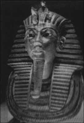 Теория заговора - i_010.jpg