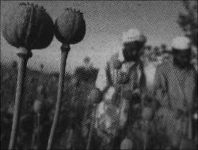 Теория заговора - i_033.jpg