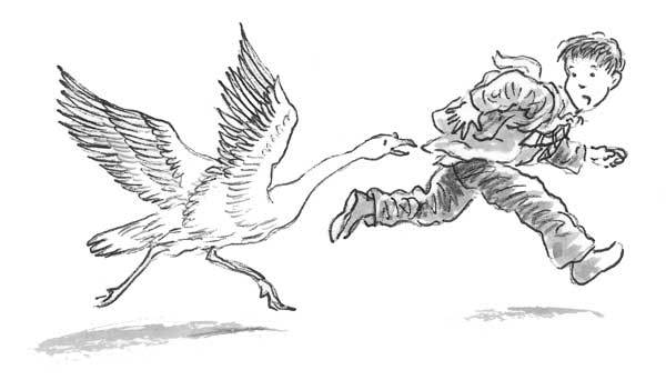 Рожденный бежать - i_002.jpg