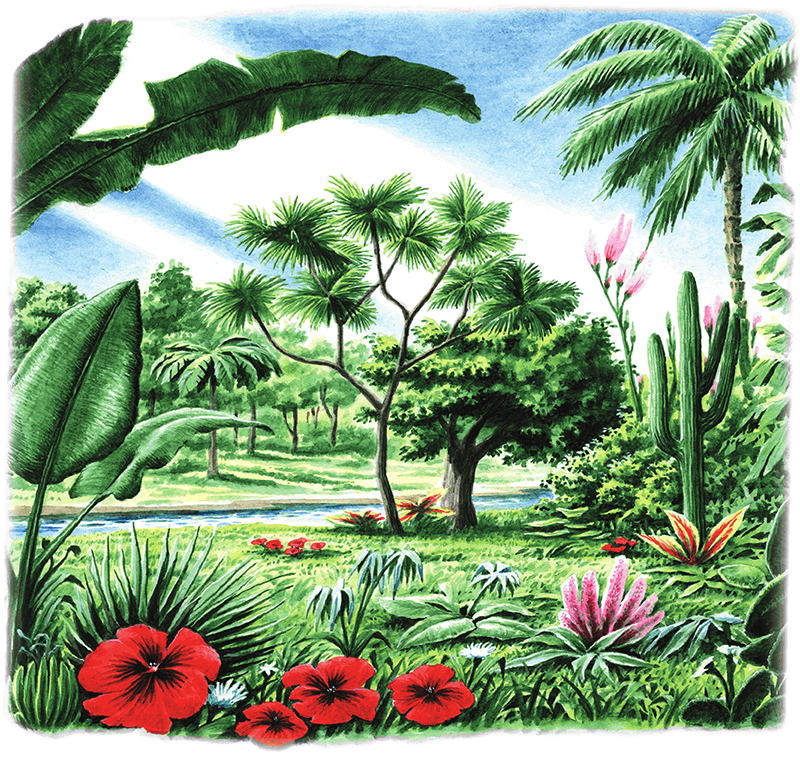 Библейские рассказы - i_002.png