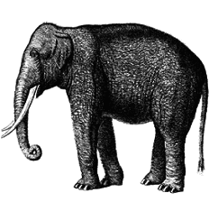 Кто есть кто в мире животных - i_002.png