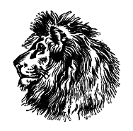 Кто есть кто в мире животных - i_004.png