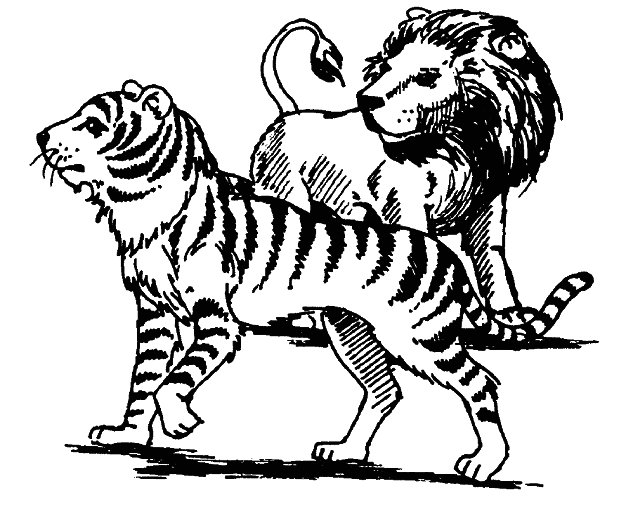 Кто есть кто в мире животных - i_009.png