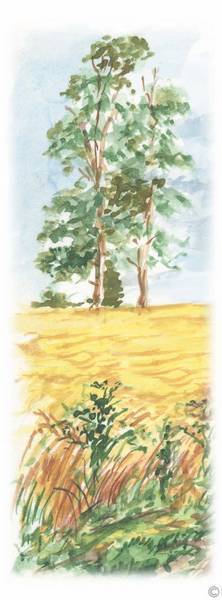 Литературное чтение - i_017.jpg