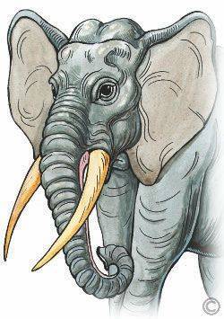 Литературное чтение - i_021.jpg