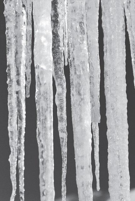 Мир вокруг нас - _40.jpg