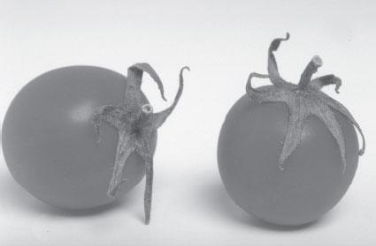 Мир вокруг нас - _42.jpg