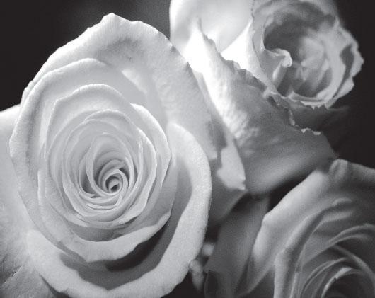 Мир вокруг нас - _53.jpg