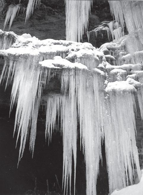 Мир вокруг нас - _75.jpg