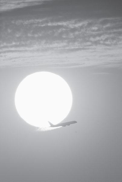 Мир вокруг нас - _88.jpg