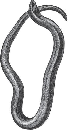 Мир животных - _16.jpg