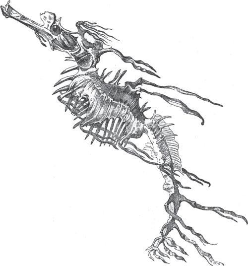 Мир животных - _17.jpg