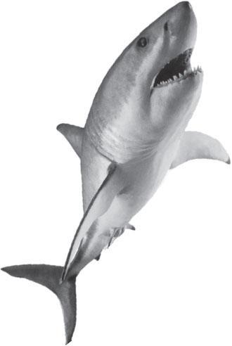 Мир животных - _22.jpg