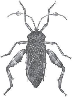 Мир животных - _28.jpg