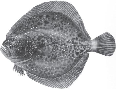 Мир животных - _30.jpg