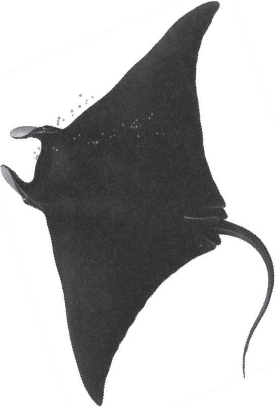 Мир животных - _34.jpg