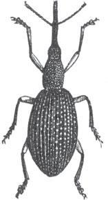 Мир животных - _42.jpg