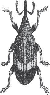 Мир животных - _43.jpg