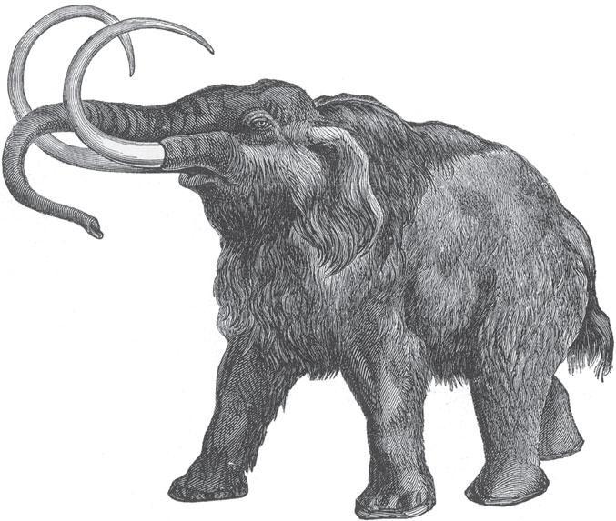 Мир животных - _64.jpg