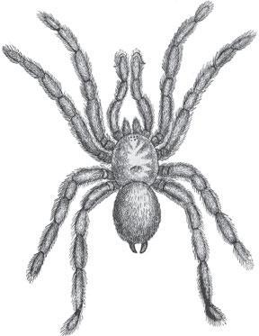 Мир животных - _68.jpg