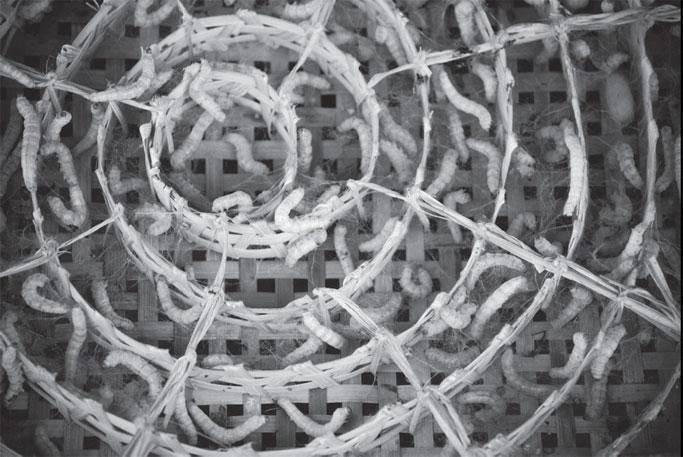 Мир животных - _69.jpg