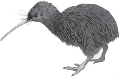 Мир животных - _76.jpg