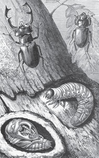 Мир животных - _77.jpg