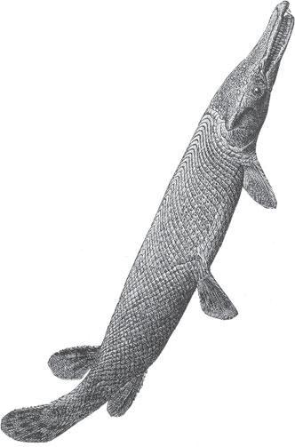 Мир животных - _78.jpg