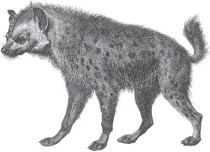 Мир животных - _79.jpg