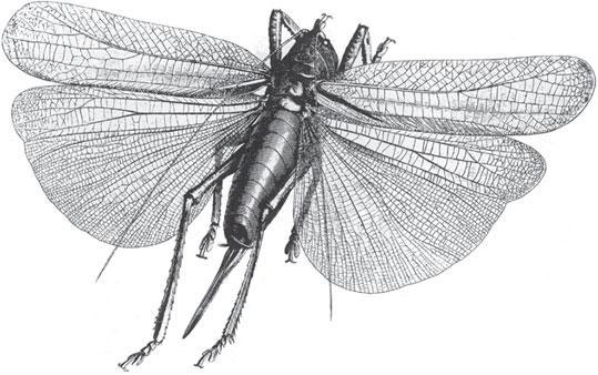 Мир животных - _82.jpg