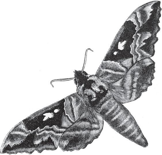 Мир животных - _83.jpg