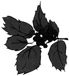 Алмазные стрекозы - img30.png