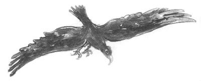 Дорога на Аннапурну - i_005.jpg