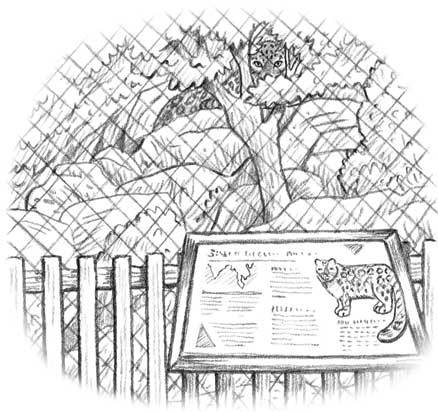 Рождественские истории. Девочка из лунного света - i_003.jpg