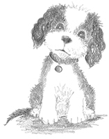 Щенок Тимми, или Я иду искать! - i_001.jpg