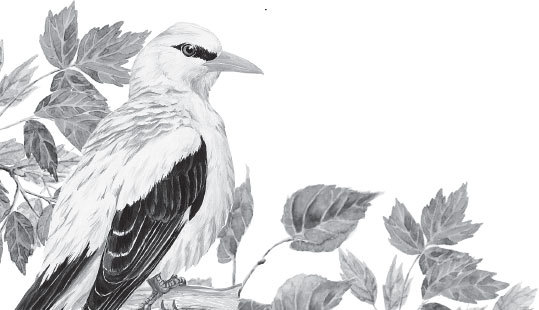 Русский лес. С вопросами и ответами для почемучек - _16.jpg