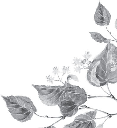 Русский лес. С вопросами и ответами для почемучек - _17.jpg