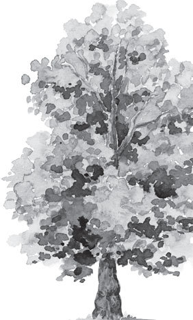 Русский лес. С вопросами и ответами для почемучек - _18.jpg