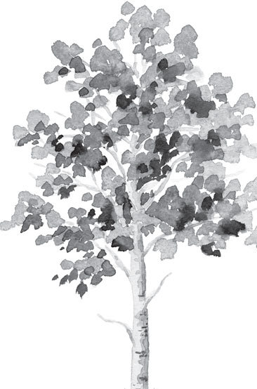 Русский лес. С вопросами и ответами для почемучек - _19.jpg