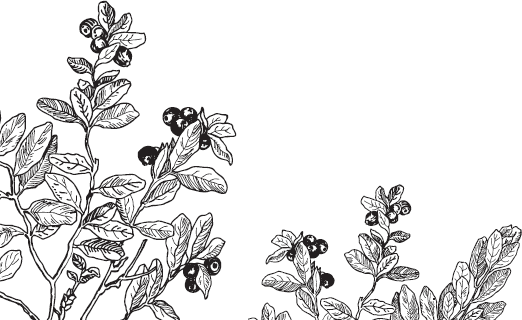 Русский лес. С вопросами и ответами для почемучек - _20.png