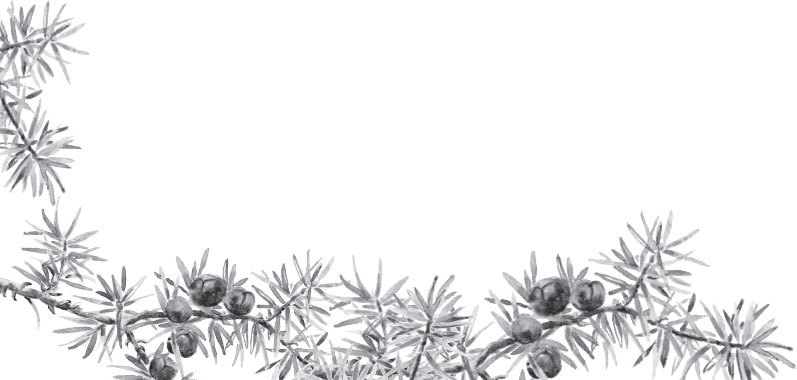 Русский лес. С вопросами и ответами для почемучек - _26.jpg