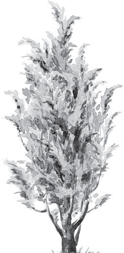 Русский лес. С вопросами и ответами для почемучек - _27.jpg