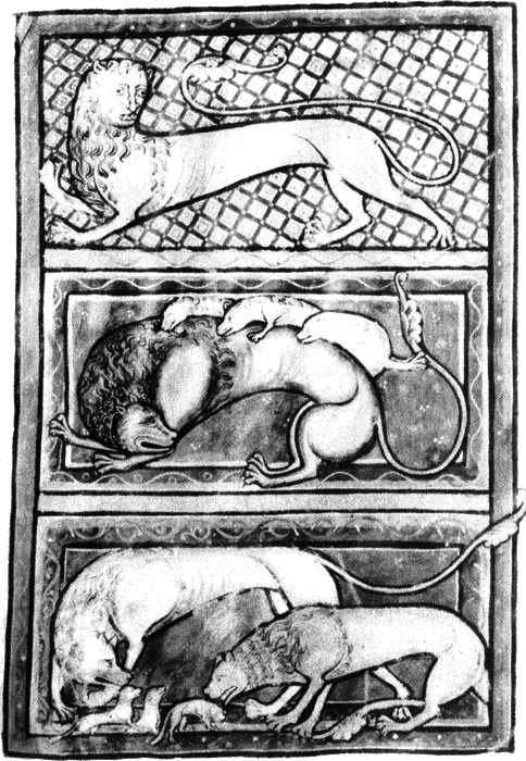 Средневековый бестиарий. Что думали наши предки об окружающем их мире - i_002.png