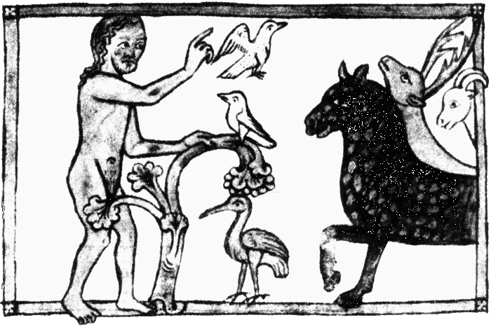 Средневековый бестиарий. Что думали наши предки об окружающем их мире - i_033.png