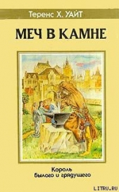 Царица Воздуха и Тьмы - автор Уайт Теренс Хэнбери 