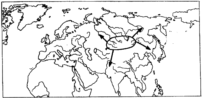 Европа, тюрки, Великая Степь - i_012.png