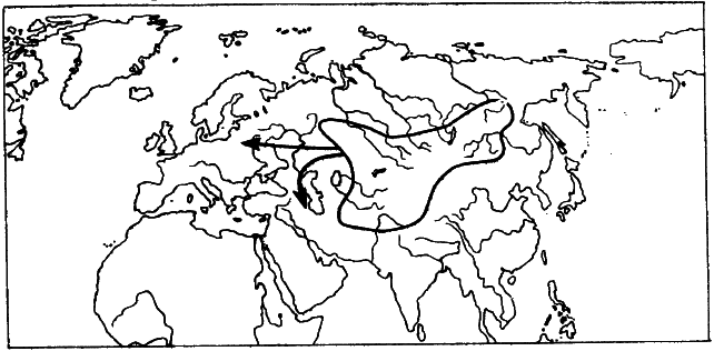 Европа, тюрки, Великая Степь - i_013.png