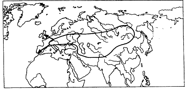 Европа, тюрки, Великая Степь - i_014.png